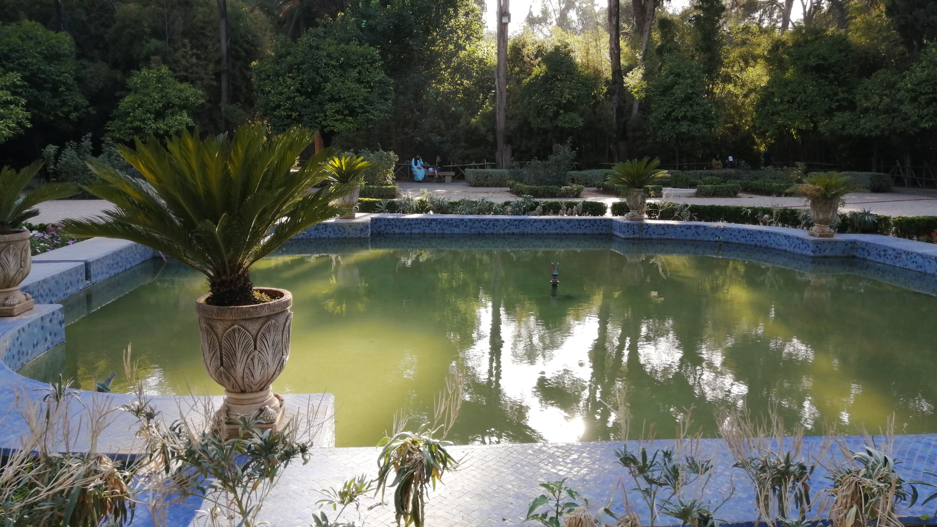 Kaip vandens elementai gali sukurti harmoniją jūsų sodo erdvėje